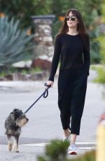 DAKOTA JOHNSON Out with Her Dog in Malibu 01/27/2019