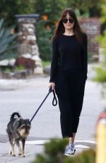 DAKOTA JOHNSON Out with Her Dog in Malibu 01/27/2019