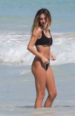 DELILAH HAMLIN in Bikini at a Beach in Tulum 01/13/2019