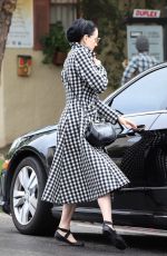 DITA VON TEESE at Yoga Class in Los Angeles 01/15/2019