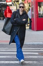 DOUTZEN KROES Out Shopping in New York 01/25/2019