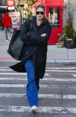 DOUTZEN KROES Out Shopping in New York 01/25/2019