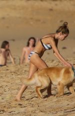 DYLAN PENN in Bikini on the Beach in Hawaii 01/02/2019
