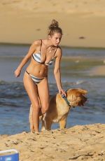 DYLAN PENN in Bikini on the Beach in Hawaii 01/02/2019