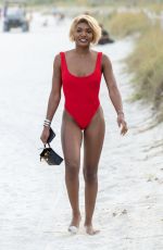 ELISA JOHNSON in Bikini at a Beach in Miami 01/01/2019