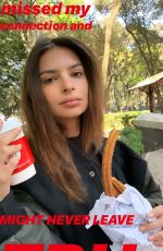 EMILY RATAJKOWSKI - Instagram Pictures 01/04/2019