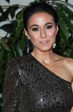 EMMANUELLE CHRIQUI at Entertainment Weekly Pre-sag Party in Los Angeles 01/26/2019