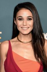 EMMANUELLE CHRIQUI at The Passage Premiere in Santa Monica 01/10/2019