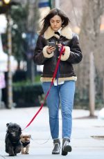 EMMY ROSSUM Out with Her Dogs in New York 01/24/2019