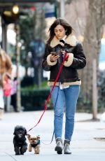 EMMY ROSSUM Out with Her Dogs in New York 01/24/2019