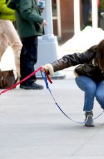 EMMY ROSSUM Out with Her Dogs in New York 01/24/2019