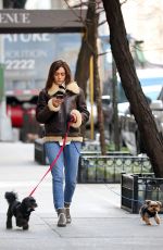 EMMY ROSSUM Out with Her Dogs in New York 01/24/2019