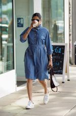 FREIDA PINTO in a Denim Dress Out in Los Angeles 01/11/2019