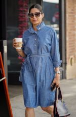 FREIDA PINTO in a Denim Dress Out in Los Angeles 01/11/2019