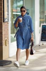 FREIDA PINTO in a Denim Dress Out in Los Angeles 01/11/2019