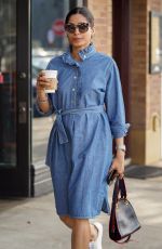 FREIDA PINTO in a Denim Dress Out in Los Angeles 01/11/2019