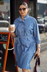 FREIDA PINTO in a Denim Dress Out in Los Angeles 01/11/2019