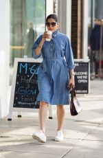 FREIDA PINTO in a Denim Dress Out in Los Angeles 01/11/2019