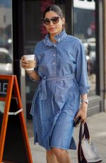 FREIDA PINTO in a Denim Dress Out in Los Angeles 01/11/2019