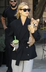 HAILEY BIEBER Out for Smoothie with Her Dog in West Hollywood 01/24/2019