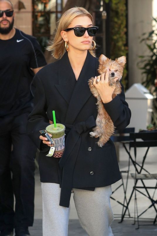 HAILEY BIEBER Out for Smoothie with Her Dog in West Hollywood 01/24/2019