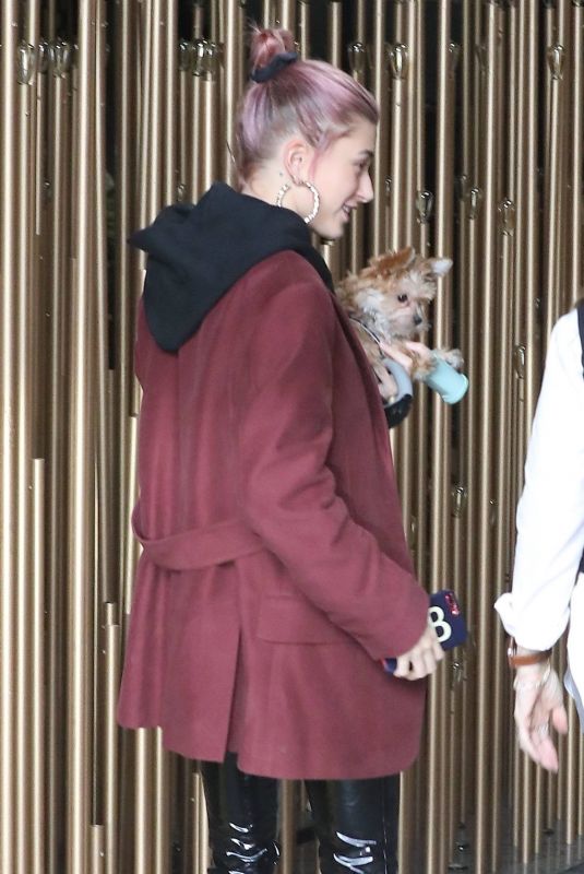 HAILEY BIEBER Out in Los Angeles 01/17/2019