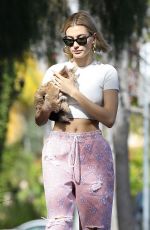 HAILEY BIEBER Out With Her Dog in Hollywood 01/24/2019