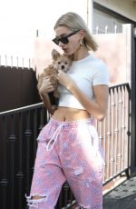 HAILEY BIEBER Out With Her Dog in Hollywood 01/24/2019