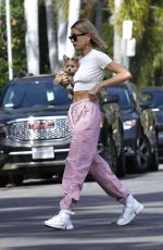 HAILEY BIEBER Out With Her Dog in Hollywood 01/24/2019