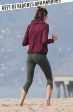 HAILEY CLAUSON Working Out at a Beach in Los Angeles 01/08/2019