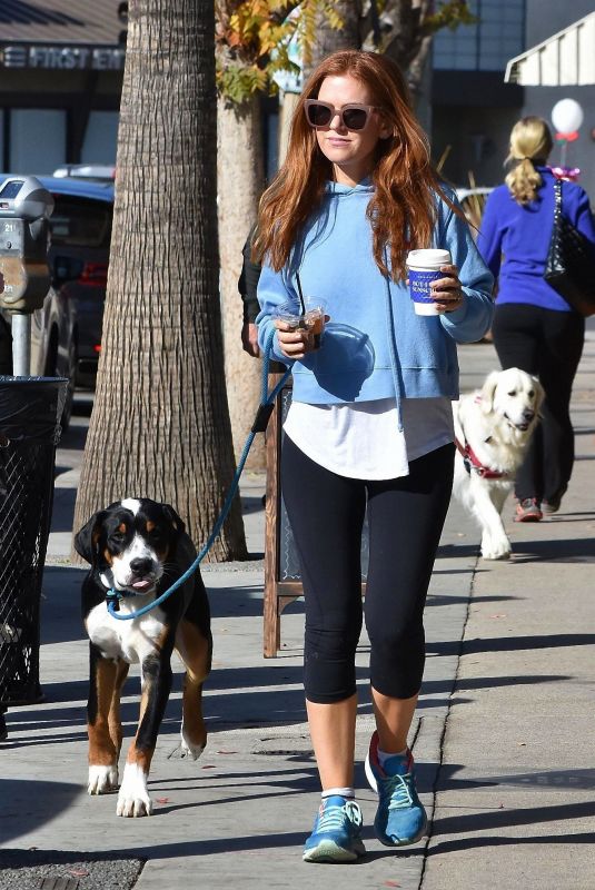 ISLA FISHER Out with Her Dog in Studio City 01/09/2019