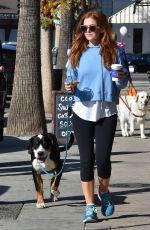 ISLA FISHER Out with Her Dog in Studio City 01/09/2019