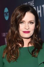 JAMIE ANNE ALLMAN I Am the Night Premiere in Hollywood 01/24/2019