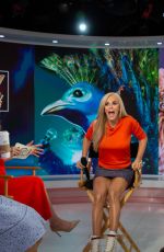 JENNY MCCARTHY at Today Show 01/23/2019