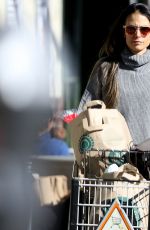 JORDANA BREWSTER Out Shopping in Brentwood 01/02/2019