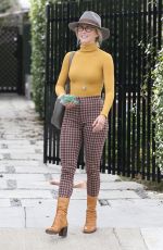 JULIANNE HOUGH Out and About in Los Angeles 01/20/2019
