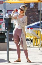 JULIANNE HOUGH Out in Los Angeles 01/26/2019
