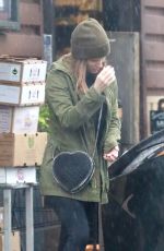 KATE MARA Out Shopping in Los Angeles 01/14/2019