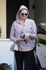 KATE UPTON Out with Her Dog in Beverly Hills 01/03/2019