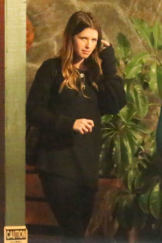 KATHERINE SCHWARZENEGGER Night Out in Burbank 01/18/2019