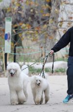 KATHRYN NEWTON Out with Her Dogs in Los Angeles 01/07/2019