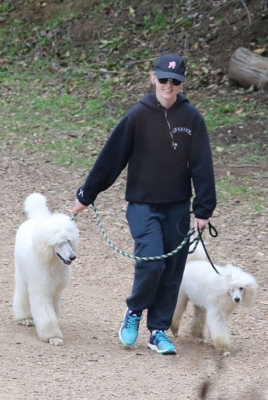 KATHRYN NEWTON Out with Her Dogs in Los Angeles 01/07/2019