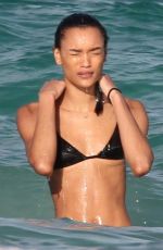 LAMEKA FOX in Bikini at a Beach in Tulum 01/13/2019