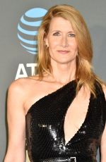 LAURA DERN at 2019 Critics’ Choice Awards in Santa Monica 01/13/2019