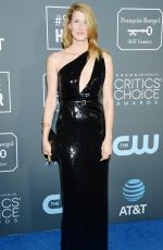 LAURA DERN at 2019 Critics’ Choice Awards in Santa Monica 01/13/2019