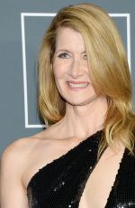 LAURA DERN at 2019 Critics’ Choice Awards in Santa Monica 01/13/2019