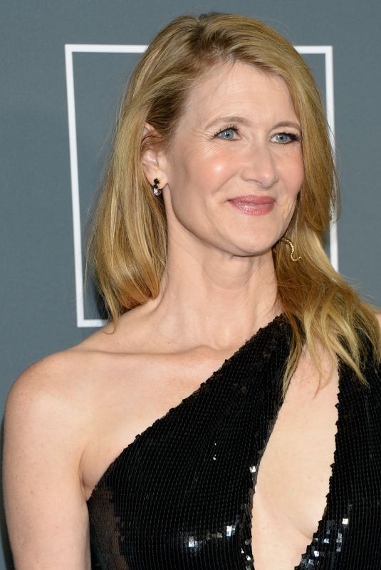 LAURA DERN at 2019 Critics’ Choice Awards in Santa Monica 01/13/2019