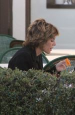 LISA RINNA and Harry Hamlin Out for Lunch in Los Angeles 01/19/2019