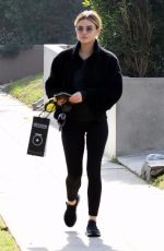 LUCY HALE Out with Her Dog in Studio City 01/11/2019