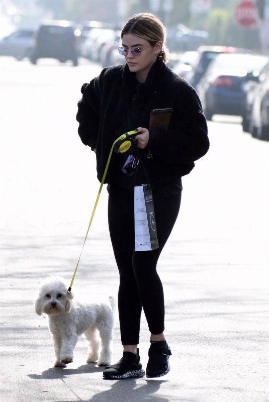 LUCY HALE Out with Her Dog in Studio City 01/11/2019